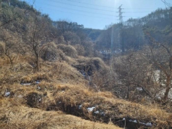 전라남도 보성군 문덕면 귀산리 산112 임야 경매 사진 78
