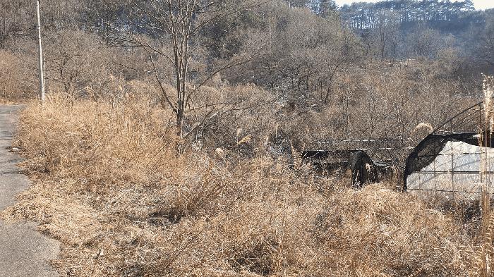 전라남도 보성군 문덕면 귀산리 산112 임야 경매 사진 8