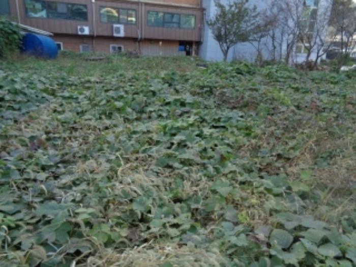 전북특별자치도 전주시 완산구 장승배기로 286, 1층 101호구) 전북특별자치도 전주시 완산구 평화동1가 434-56 근린상가 경매 사진 15