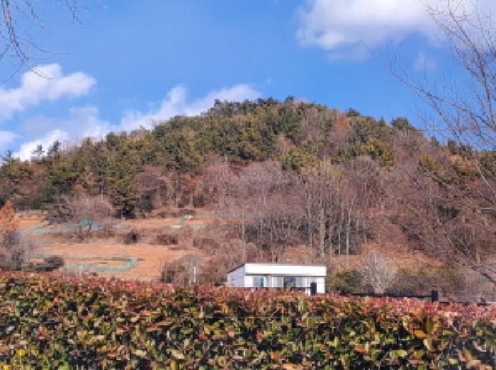 전라남도 여수시 선원동 산134 임야 경매 사진 3