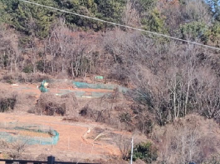 전라남도 여수시 선원동 산134 임야 경매 사진 4
