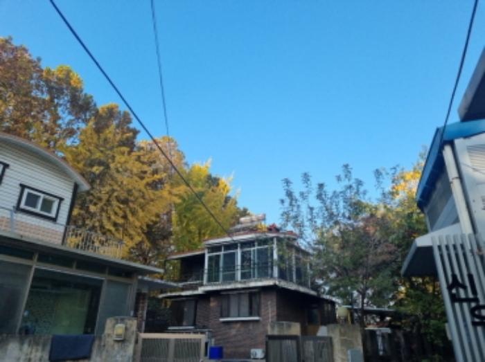 인천광역시 남동구 만수동 696-2 주택 경매 사진 9
