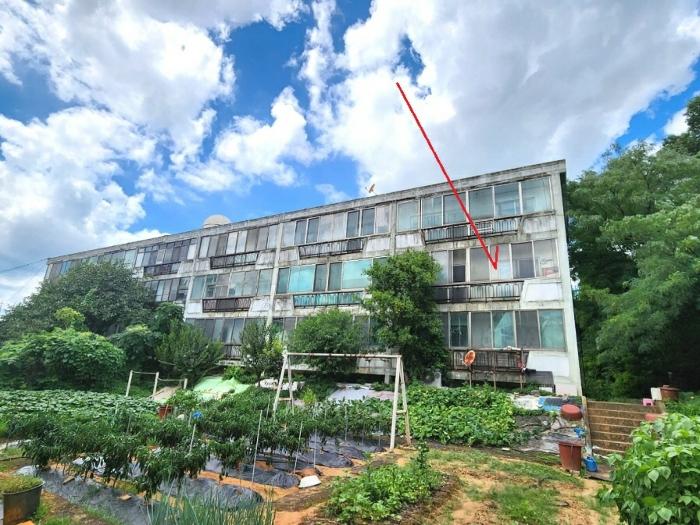 경기도 평택시 탄현로368번길 48, 1동 2층206호구) 경기도 평택시 독곡동 산 69-3 다세대(빌라) 경매 사진 1