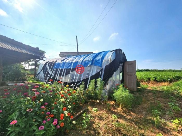 경기도 평택시 안중읍 삼정리 134-1 대지 경매 사진 6