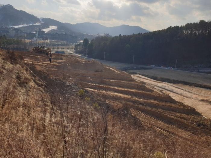 강원도 평창군 대관령면 용산리 산67-5 임야 경매 사진 6