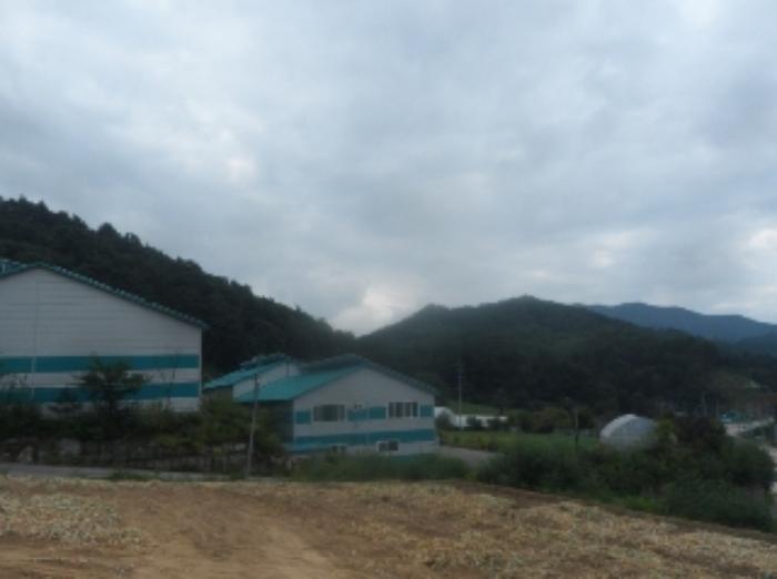 강원특별자치도 평창군 용평면 이목정리 427 공장 경매 사진 24