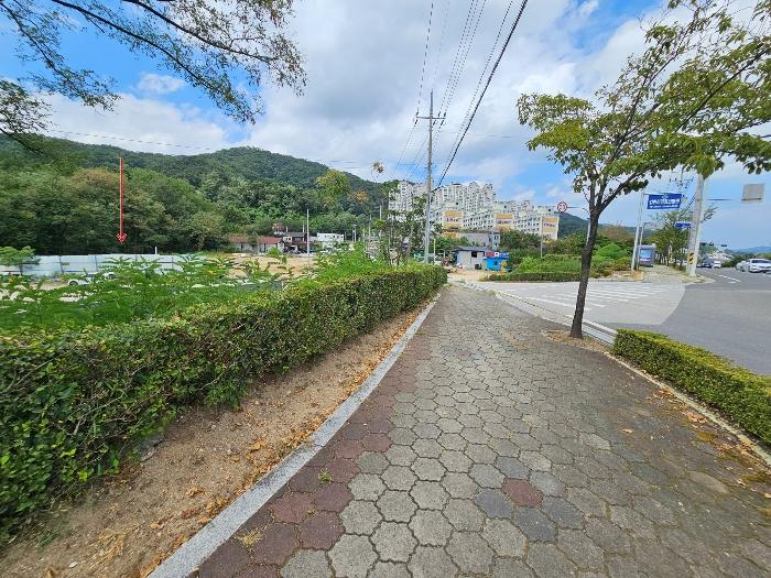 경상북도 김천시 신음동 590-3 대지 경매 사진 4