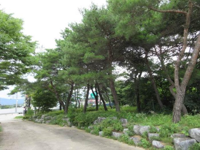 경상북도 예천군 개포면 우감리 675 숙박시설 경매 사진 46