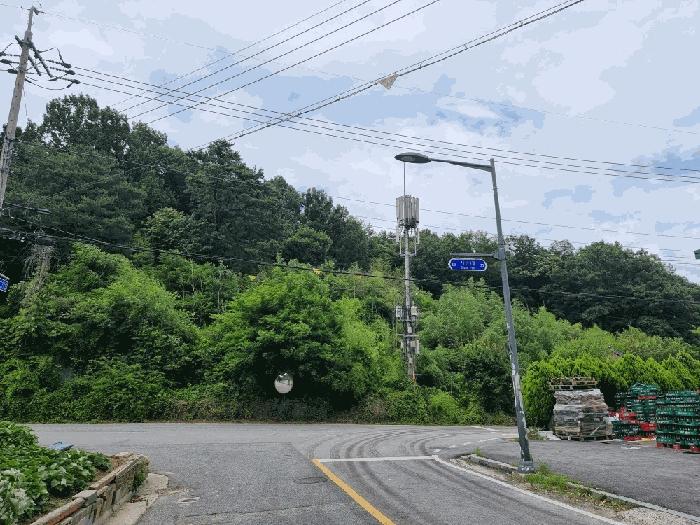 전라남도 담양군 담양읍 양각리 86-1 임야 경매 사진 2