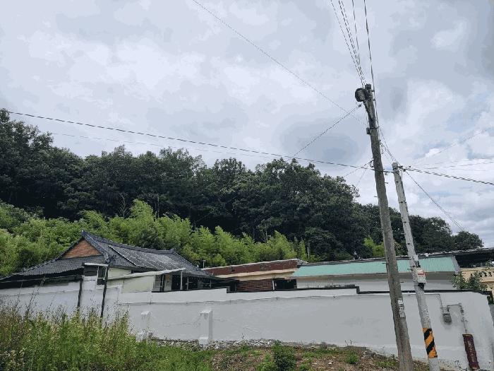 전라남도 담양군 담양읍 양각리 86-1 임야 경매 사진 3
