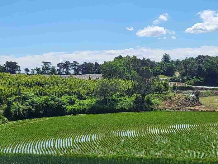 경기도 여주시 세종대왕면 마래리 산16-18 임야 경매 사진 44