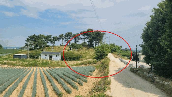 경기도 여주시 세종대왕면 마래리 산16-18 임야 경매 사진 7
