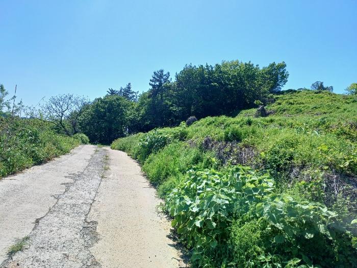 경상남도 남해군 남면 평산리 1516-20 임야 경매 사진 10