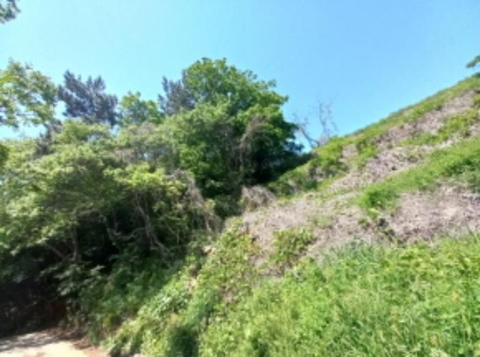 경상남도 남해군 남면 평산리 1516-20 임야 경매 사진 11