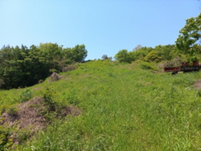 경상남도 남해군 남면 평산리 1516-20 임야 경매 사진 13