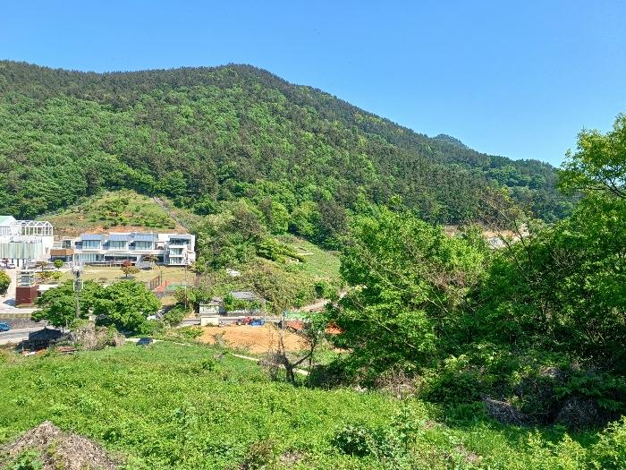 경상남도 남해군 남면 평산리 1516-20 임야 경매 사진 9