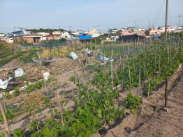 경상남도 사천시 서동 19 전 경매 사진 6