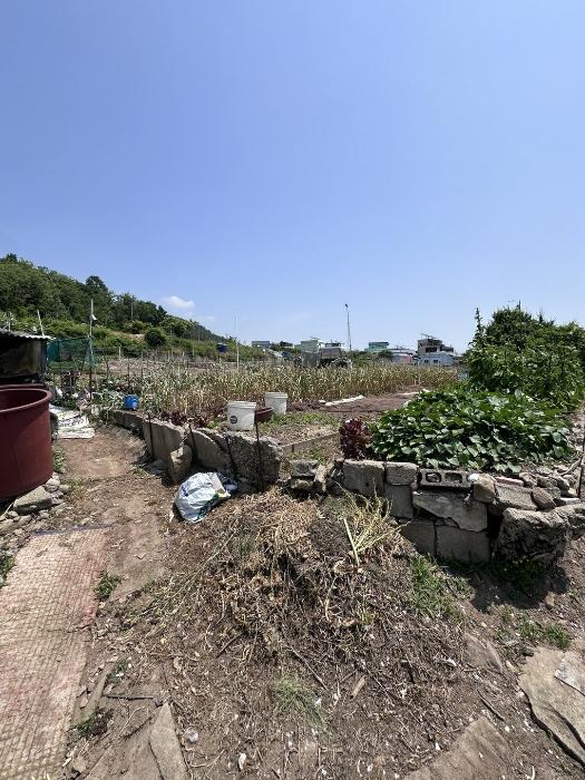 경상남도 사천시 서동 21 답 경매 사진 3