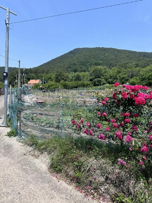 경상남도 사천시 서동 21 답 경매 사진 4
