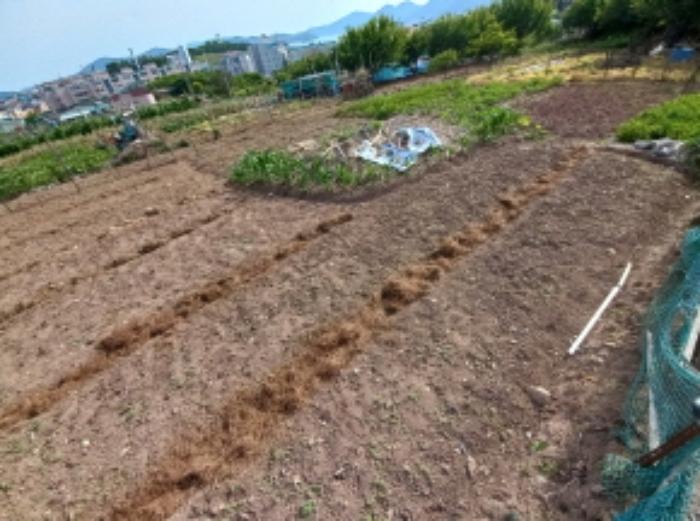 경상남도 사천시 서동 21 답 경매 사진 5