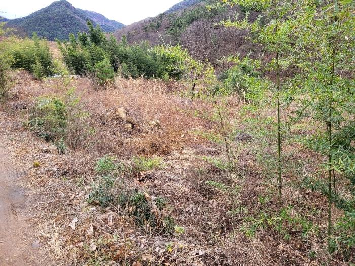 경상남도 창녕군 영산면 구계리 977 답 경매 사진 34