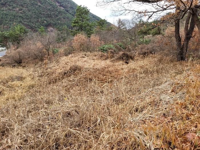 경상남도 창녕군 영산면 구계리 977 답 경매 사진 38