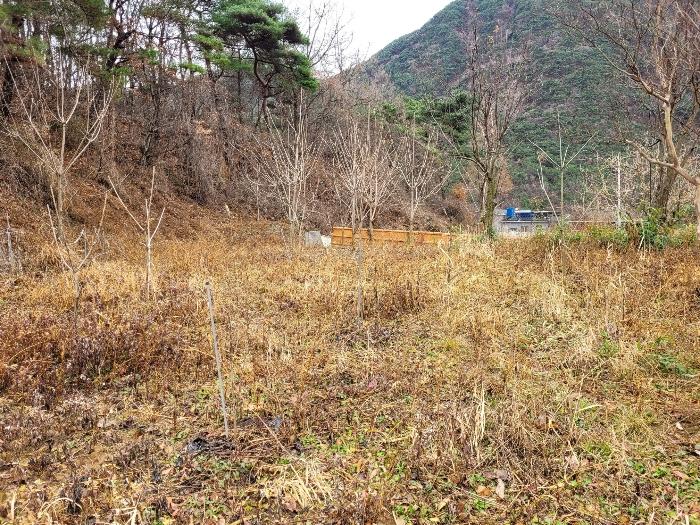 경상남도 창녕군 영산면 구계리 977 답 경매 사진 5
