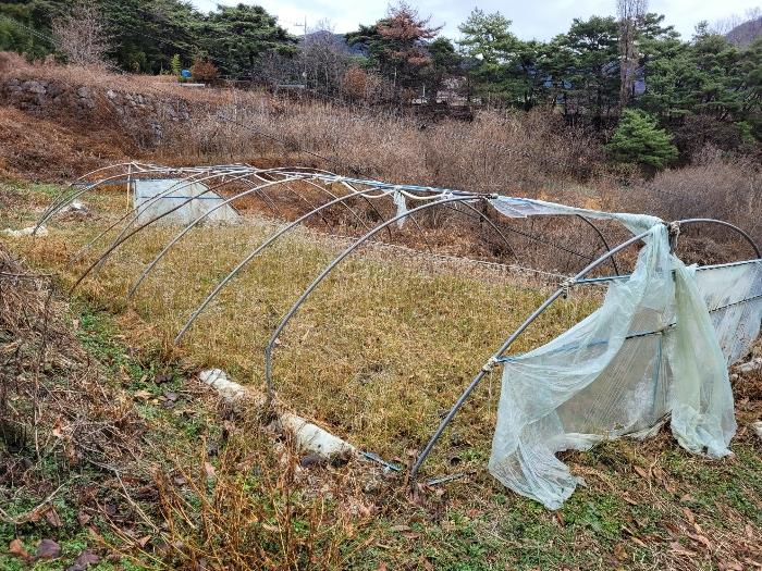 경상남도 창녕군 영산면 구계리 977 답 경매 사진 50