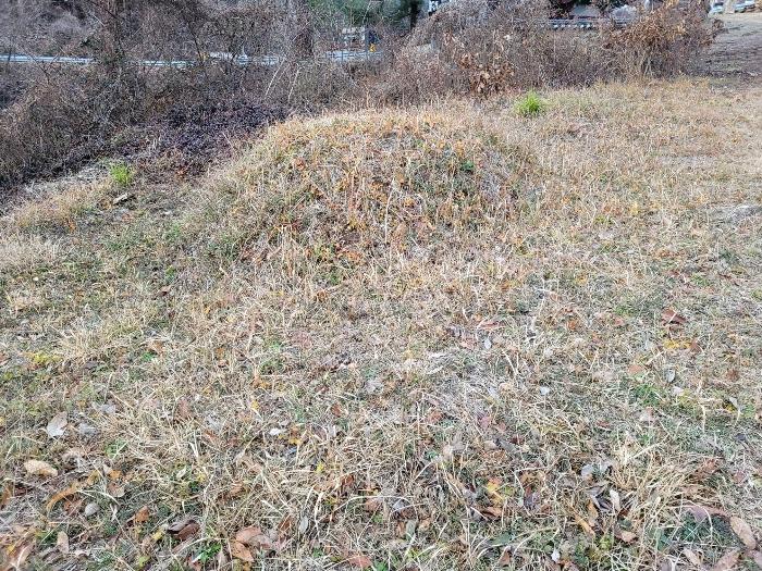 경상남도 창녕군 영산면 구계리 1052 임야 경매 사진 37