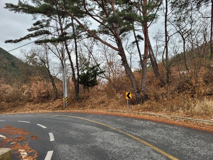 경상남도 창녕군 영산면 구계리 1052 임야 경매 사진 61
