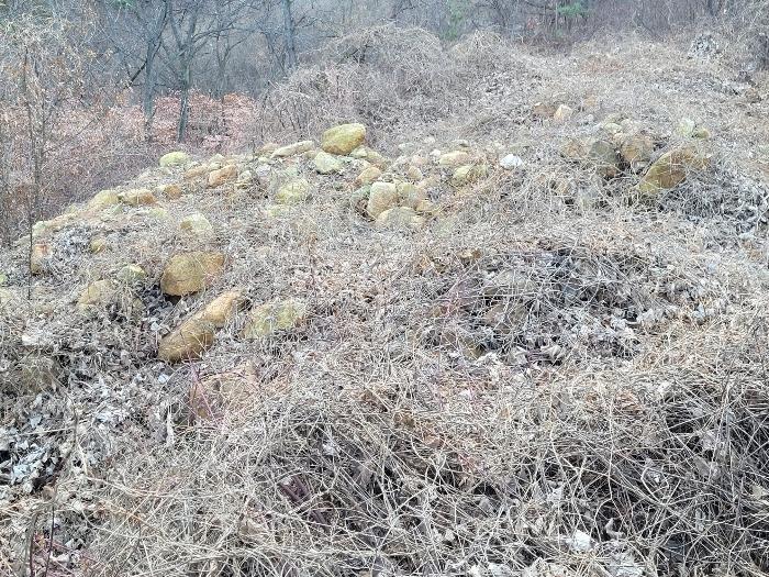 경상남도 창녕군 영산면 구계리 1052 임야 경매 사진 65