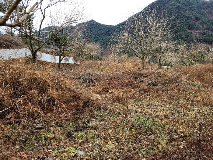 경상남도 창녕군 영산면 구계리 1279-1 답 경매 사진 25