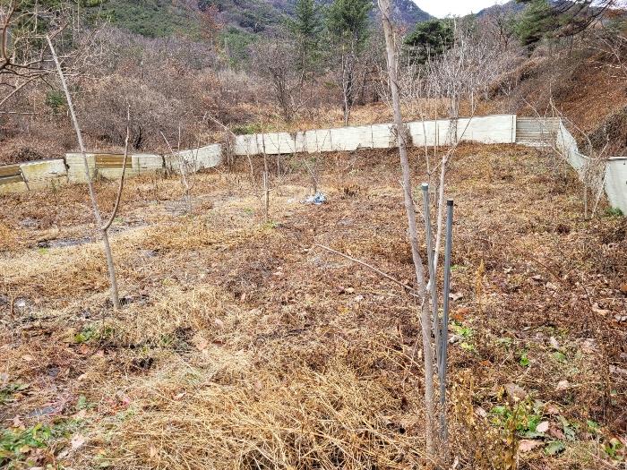경상남도 창녕군 영산면 구계리 1279-1 답 경매 사진 4