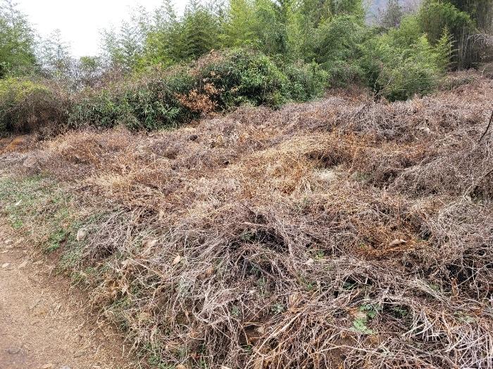 경상남도 창녕군 영산면 구계리 1285 임야 경매 사진 44