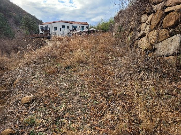 경상남도 창녕군 영산면 구계리 1285 임야 경매 사진 63