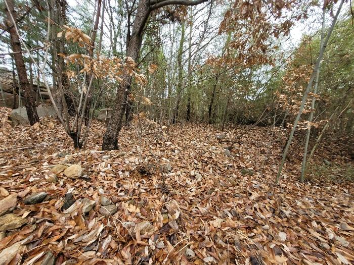 경상남도 창녕군 영산면 구계리 1285 임야 경매 사진 68