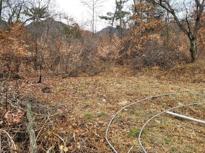 경상남도 창녕군 영산면 구계리 1285 임야 경매 사진 9