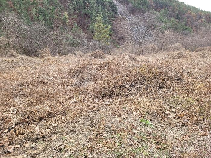 경상남도 창녕군 영산면 구계리 1067 답 경매 사진 27