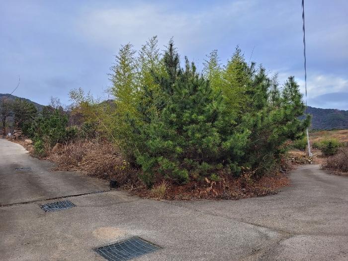 경상남도 창녕군 영산면 구계리 1259 답 경매 사진 71