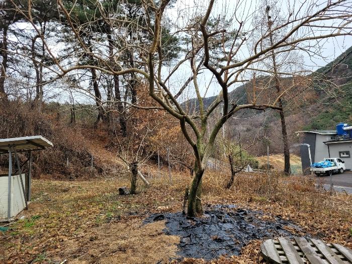 경상남도 창녕군 영산면 구계리 1267-2 임야 경매 사진 52