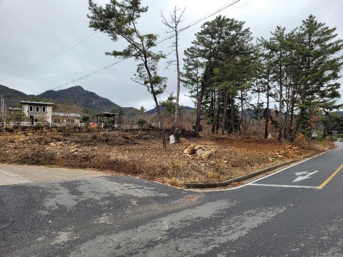 경상남도 창녕군 영산면 구계리 1267-2 임야 경매 사진 56