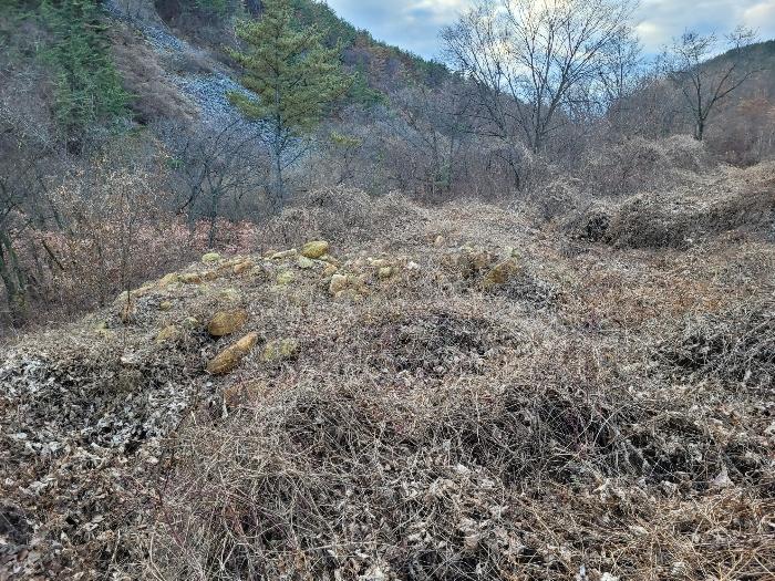 경상남도 창녕군 영산면 구계리 1267-1 임야 경매 사진 17