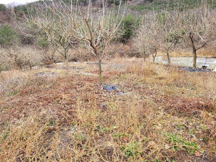 경상남도 창녕군 영산면 구계리 1267-1 임야 경매 사진 72