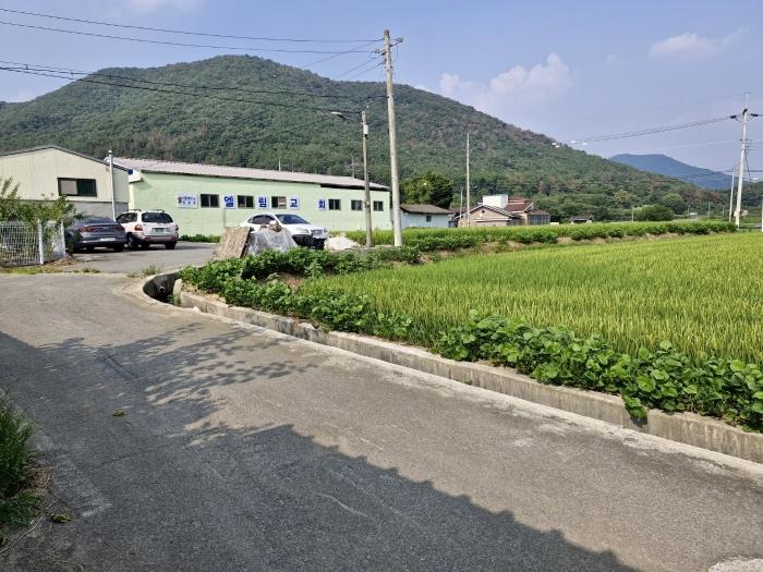 경상남도 밀양시 하남읍 남전리 175 전 경매 사진 2