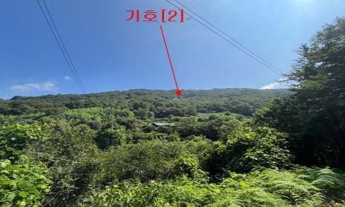 경상남도 밀양시 무안면 정곡리 산56 임야 경매 사진 2