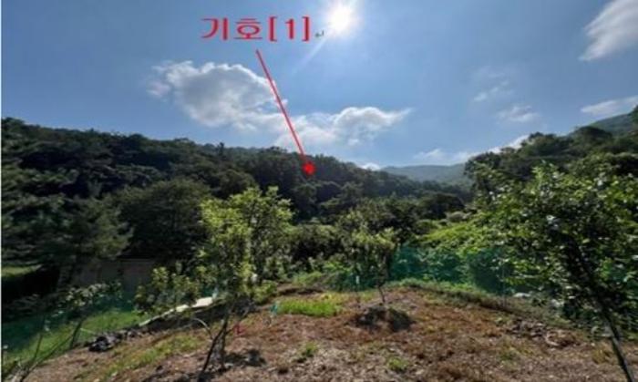 경상남도 밀양시 무안면 정곡리 산66 임야 경매 사진 1