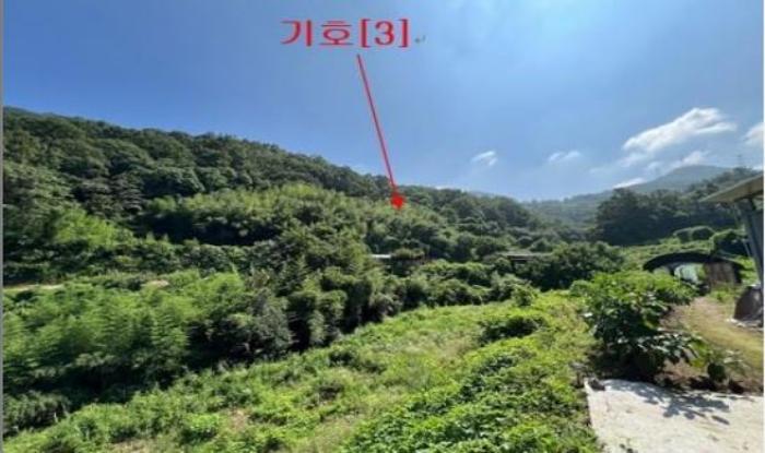 경상남도 밀양시 무안면 정곡리 산66 임야 경매 사진 4