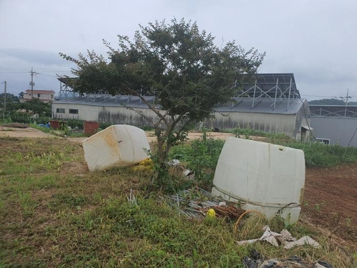 전라남도 무안군 일로읍 의산리 1815-4 답 경매 사진 11