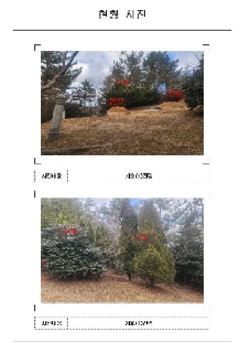전라남도 무안군 삼향읍 임성리 산59-2 임야 경매 사진 14