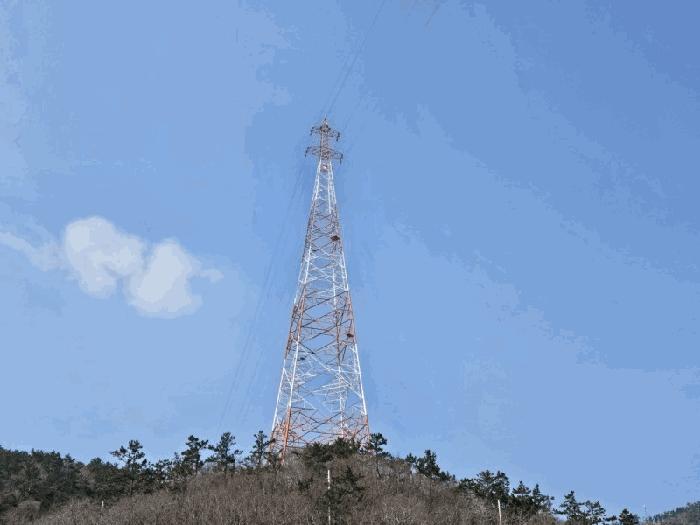 전라남도 무안군 삼향읍 임성리 산59-2 임야 경매 사진 5